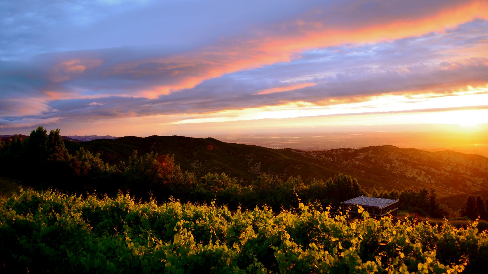 Rustic Wine Country Experience California wines in delightfully unpretentious Suisun Valley